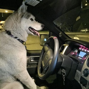 10724105_933749993352756_641211645_n