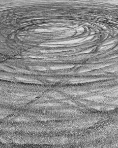 12104955_416489938545090_166383700_n