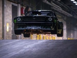 14624401_911678988976730_1427886371753689088_n